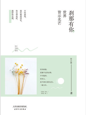 cover image of 刹那有你，世界皆示光芒